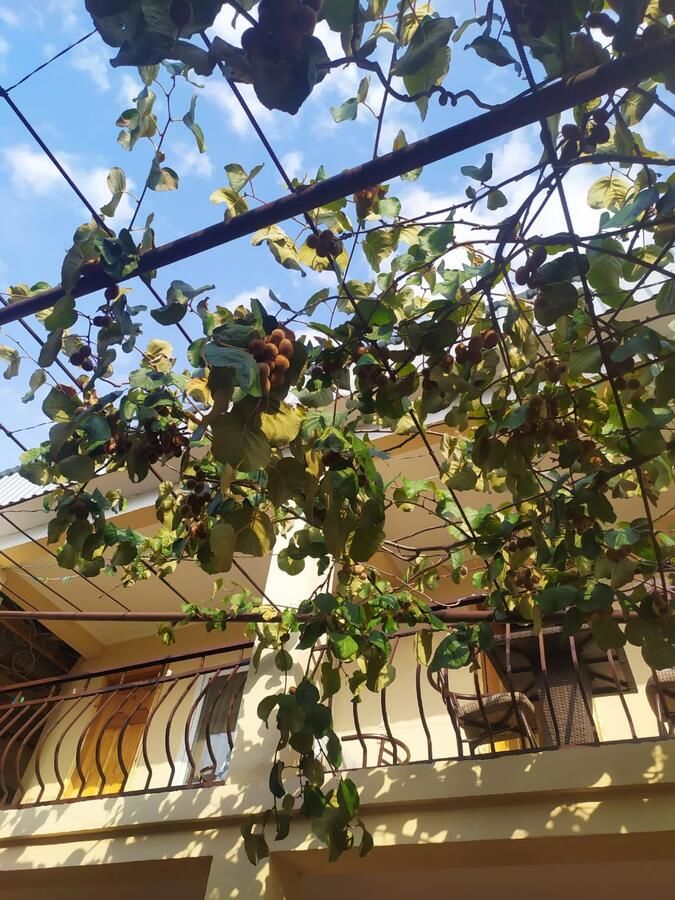 Гостевой дом Самира Гагра